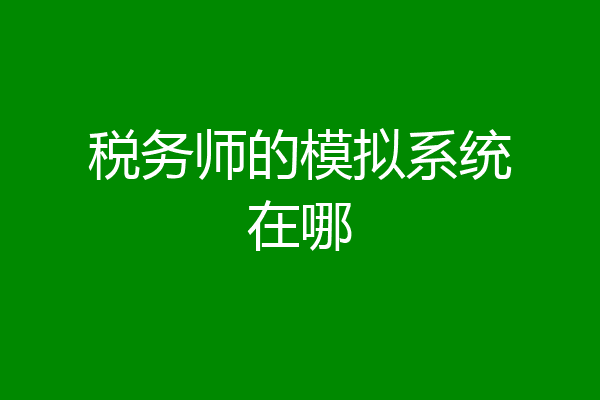 税务师的模拟系统在哪