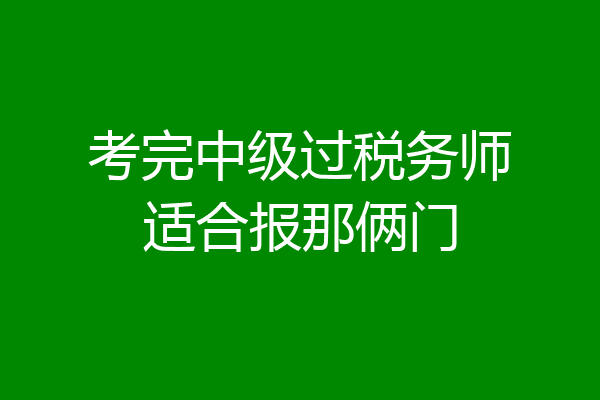 考完中级过税务师适合报那俩门