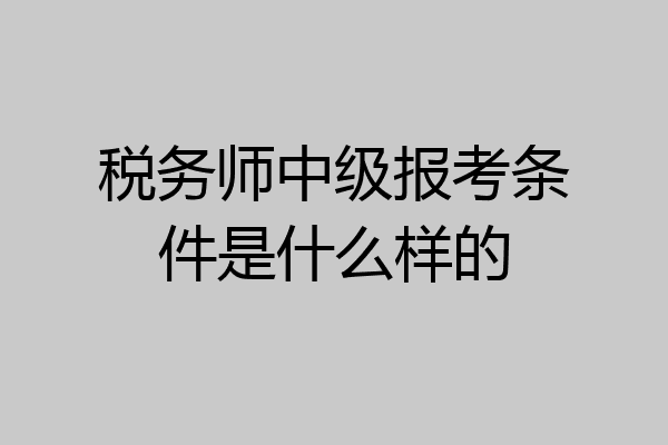 税务师中级报考条件是什么样的