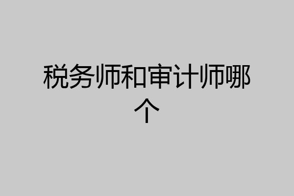 税务师和审计师哪个
