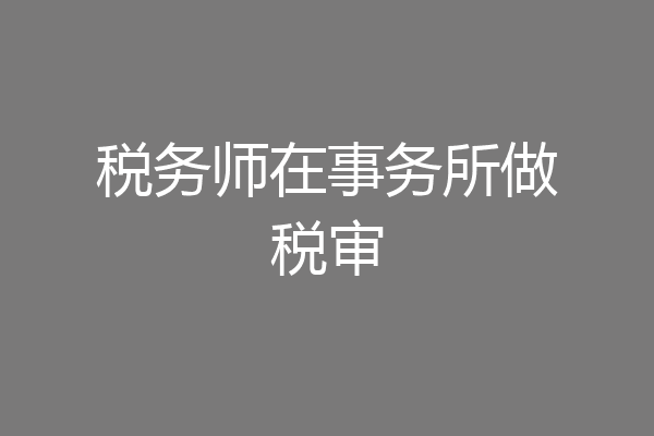 税务师在事务所做税审