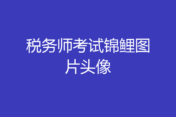 税务师考试锦鲤图片头像