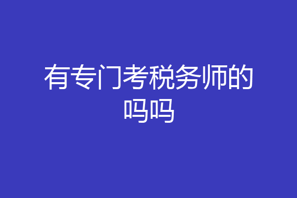 有专门考税务师的吗吗