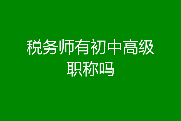 税务师有初中高级职称吗