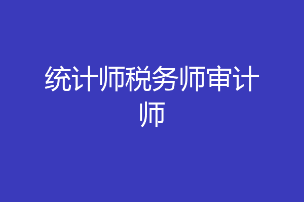 统计师税务师审计师