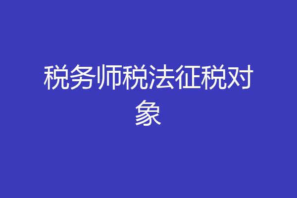 税务师税法征税对象