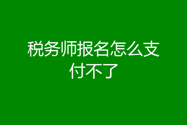 税务师报名怎么支付不了