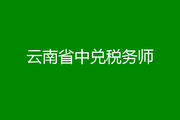 云南省中兑税务师