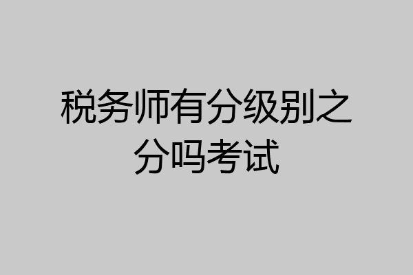 税务师有分级别之分吗考试