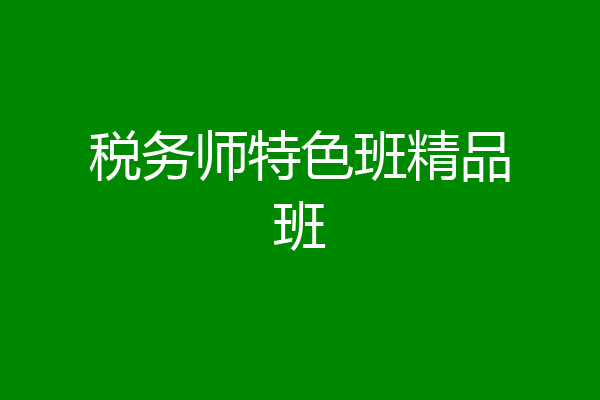 税务师特色班精品班
