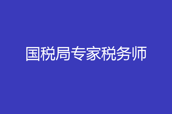 国税局专家税务师