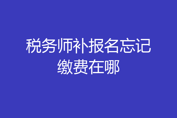 税务师补报名忘记缴费在哪