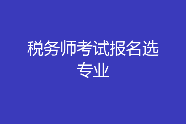 税务师考试报名选专业