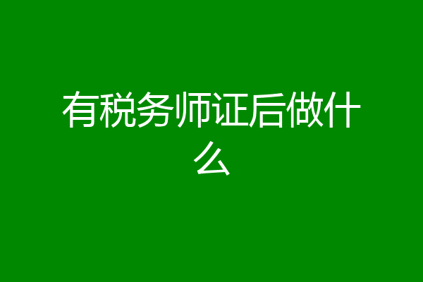 有税务师证后做什么