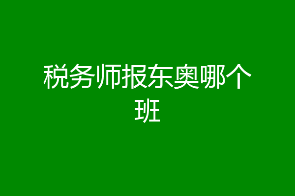 税务师报东奥哪个班