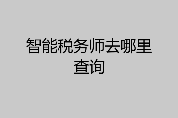 智能税务师去哪里查询