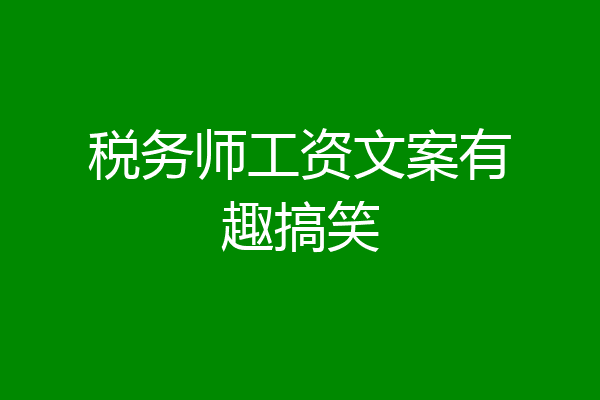 税务师工资文案有趣搞笑