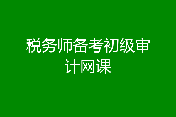 税务师备考初级审计网课