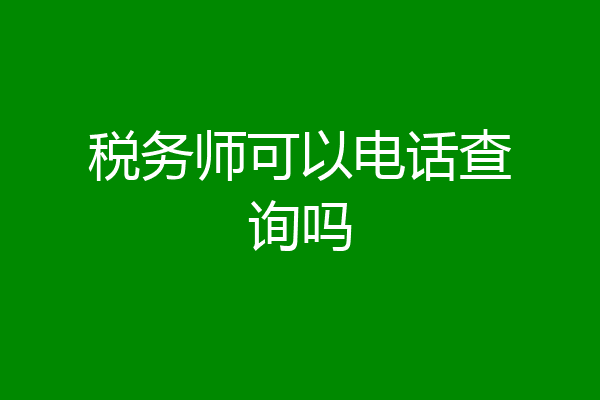 税务师可以电话查询吗