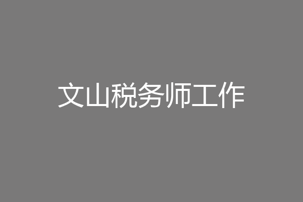 文山税务师工作