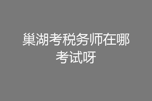 巢湖考税务师在哪考试呀