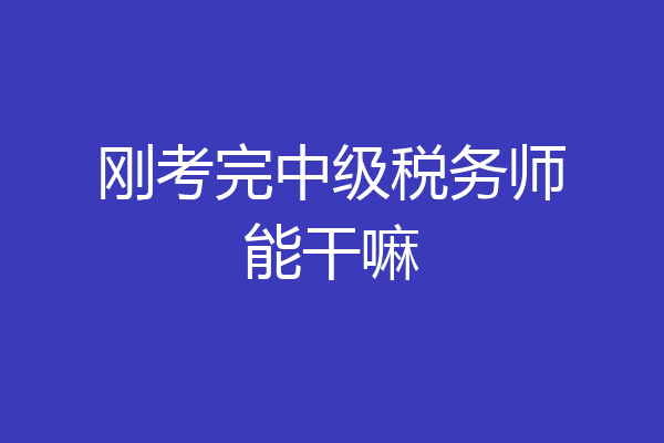 刚考完中级税务师能干嘛