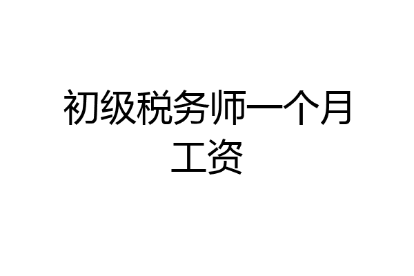 初级税务师一个月工资