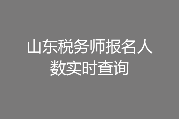 山东税务师报名人数实时查询