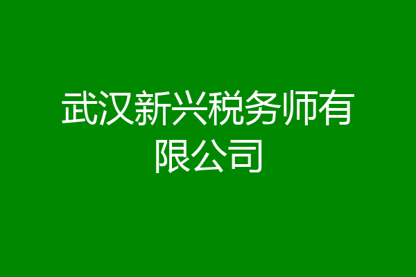武汉新兴税务师有限公司