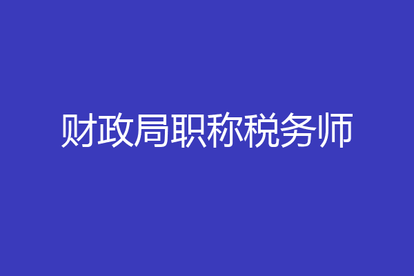 财政局职称税务师