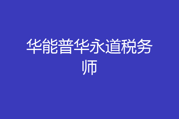 华能普华永道税务师