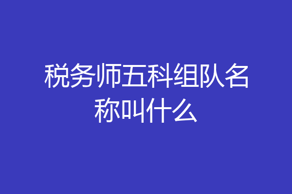 税务师五科组队名称叫什么