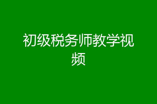 初级税务师教学视频