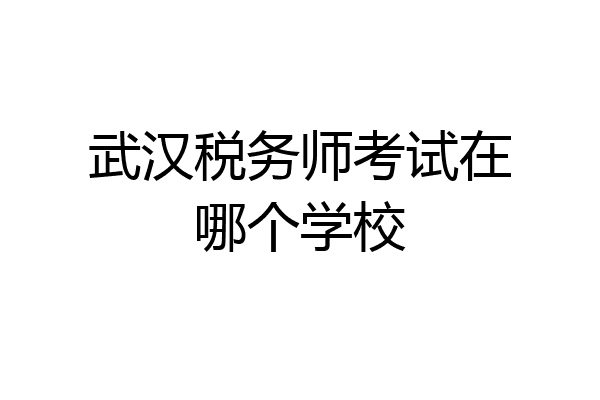 武汉税务师考试在哪个学校