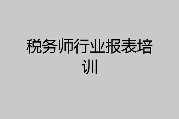 税务师行业报表培训