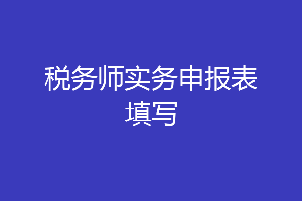税务师实务申报表填写