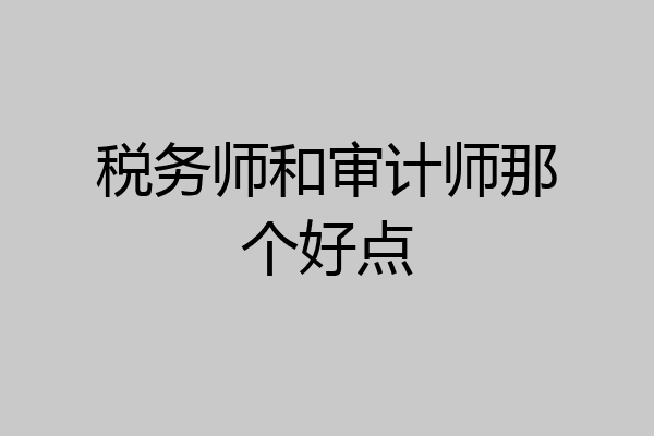 税务师和审计师那个好点