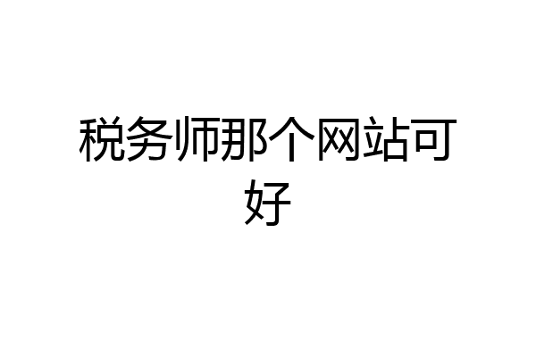 税务师那个网站可好