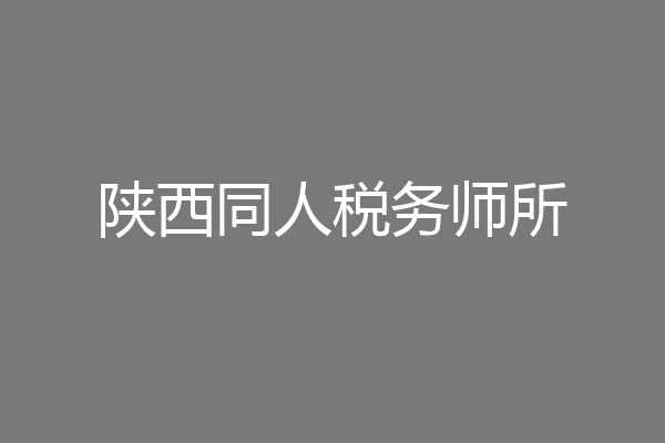 陕西同人税务师所