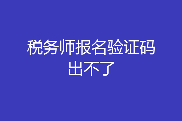 税务师报名验证码出不了