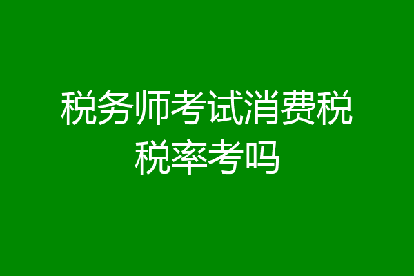 税务师考试消费税税率考吗