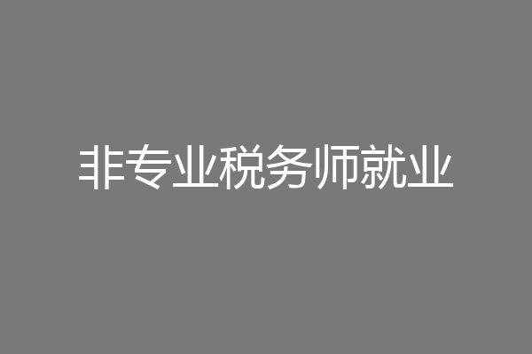非专业税务师就业