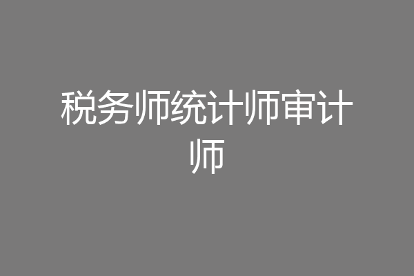 税务师统计师审计师