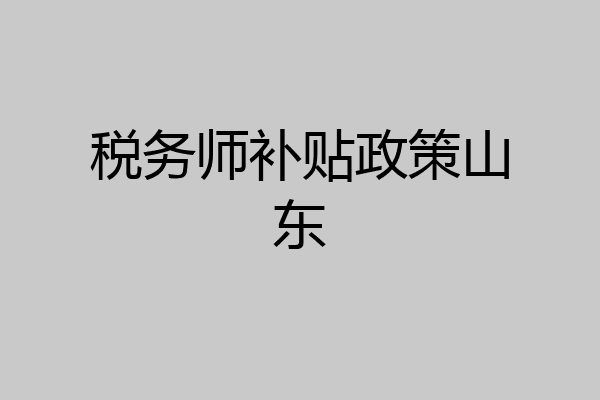 税务师补贴政策山东