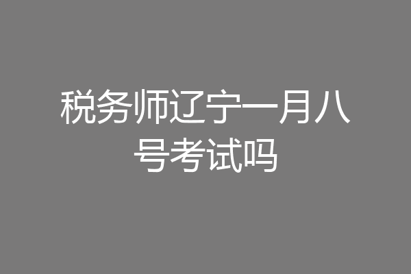 税务师辽宁一月八号考试吗