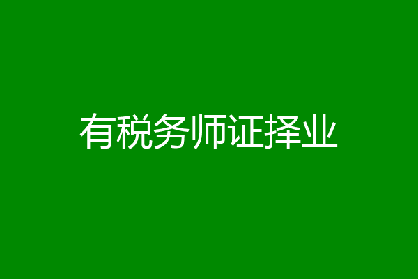 有税务师证择业