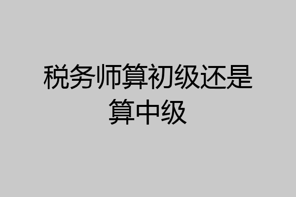 税务师算初级还是算中级