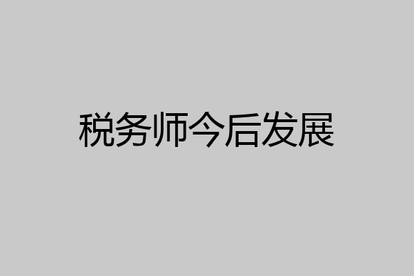 税务师今后发展