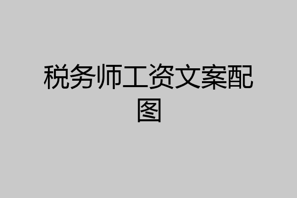 税务师工资文案配图