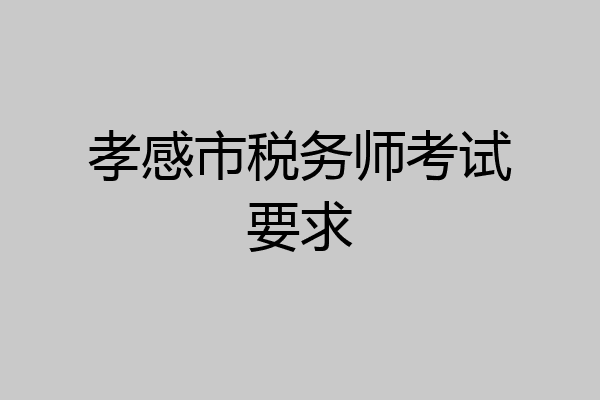 孝感市税务师考试要求